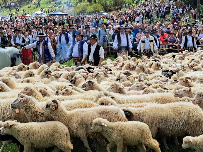 Błogosławieństwo owiec w Jaworkach