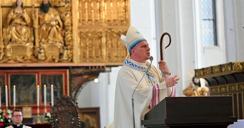  Homilia była poświęcona  Bożej Rodzicielce.