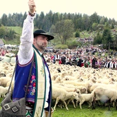 Ks. Kasper Bernasiewicz uważa, że przyglądając się pasterstwu, lepiej rozumie się przypowieści Pana Jezusa.