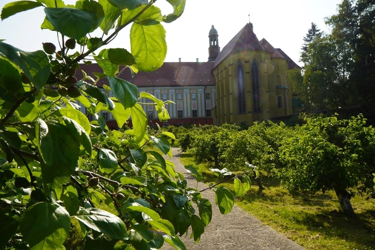 XII Majówka w Ogrodach Klasztornych z Bolesławem Chrobrym