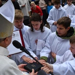 Diecezjalna Pielgrzymka Służby Liturgicznej Ołtarza do Rokitna