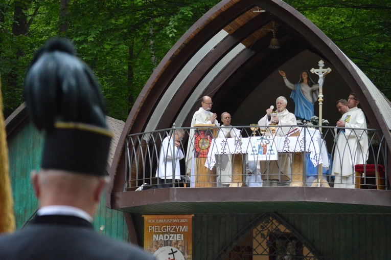 Ziemia rybnicko-wodzisławska w jankowickiej Studzience