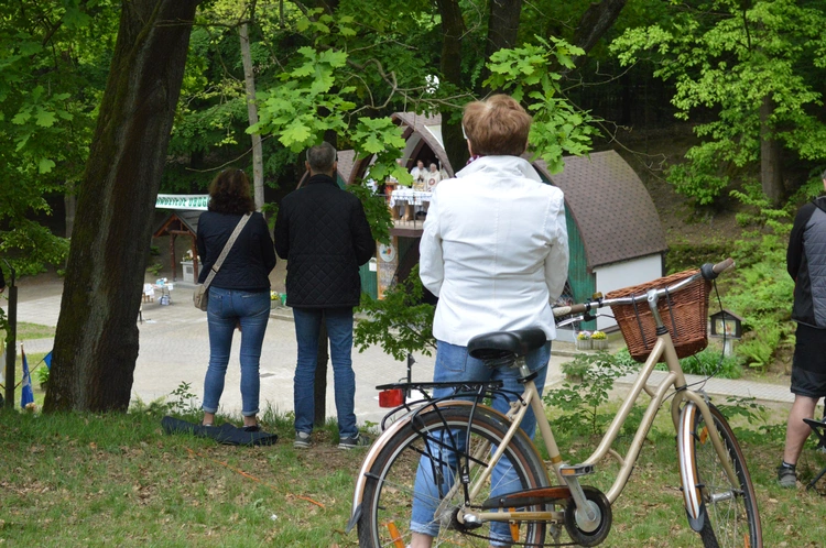 Ziemia rybnicko-wodzisławska w jankowickiej Studzience