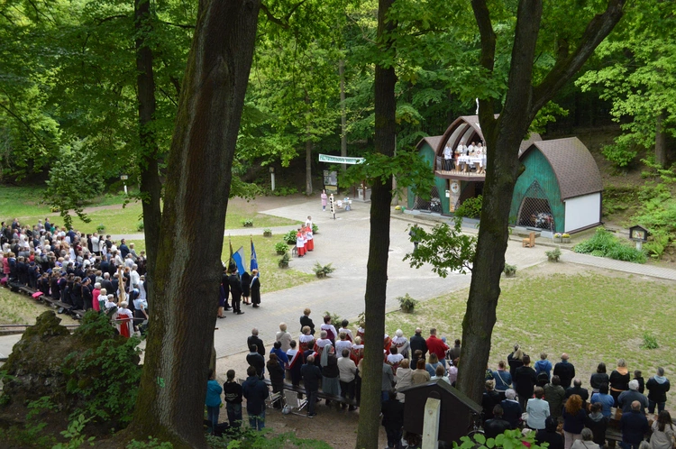 Ziemia rybnicko-wodzisławska w jankowickiej Studzience