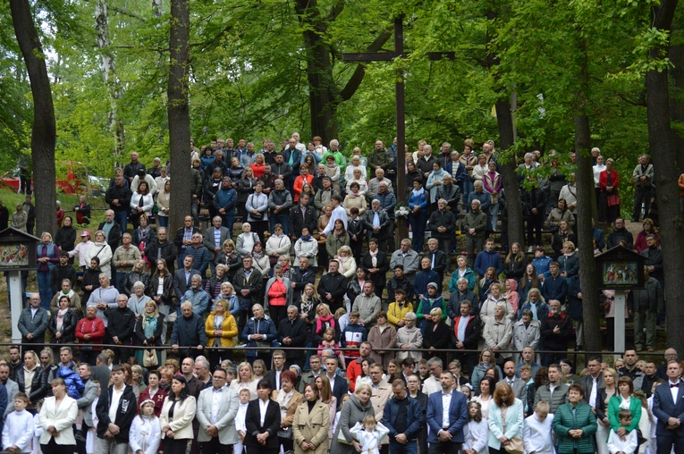 Ziemia rybnicko-wodzisławska w jankowickiej Studzience