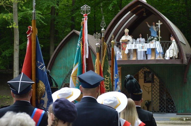 Ziemia rybnicko-wodzisławska w jankowickiej Studzience