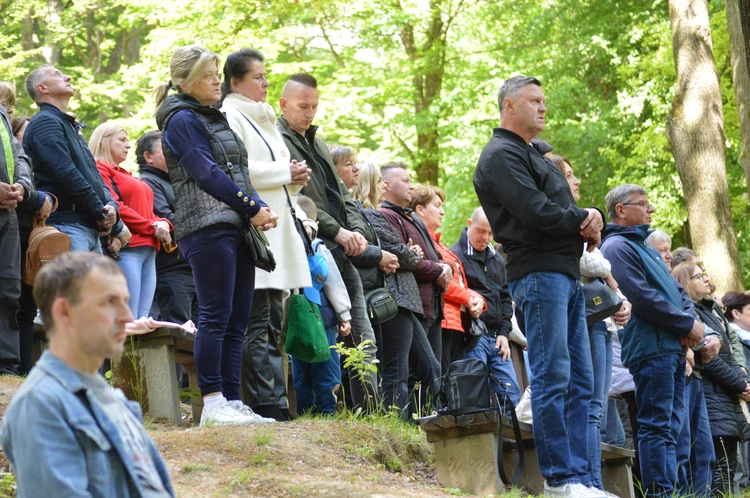Ziemia rybnicko-wodzisławska w jankowickiej Studzience