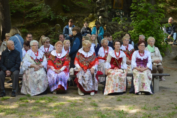 Ziemia rybnicko-wodzisławska w jankowickiej Studzience