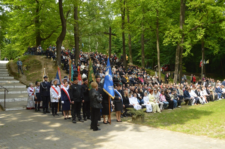 Ziemia rybnicko-wodzisławska w jankowickiej Studzience