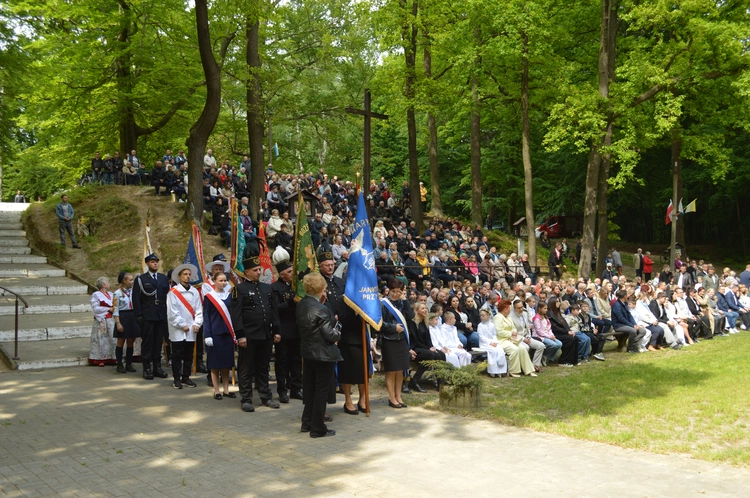 Ziemia rybnicko-wodzisławska w jankowickiej Studzience