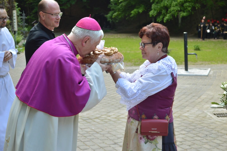 Ziemia rybnicko-wodzisławska w jankowickiej Studzience