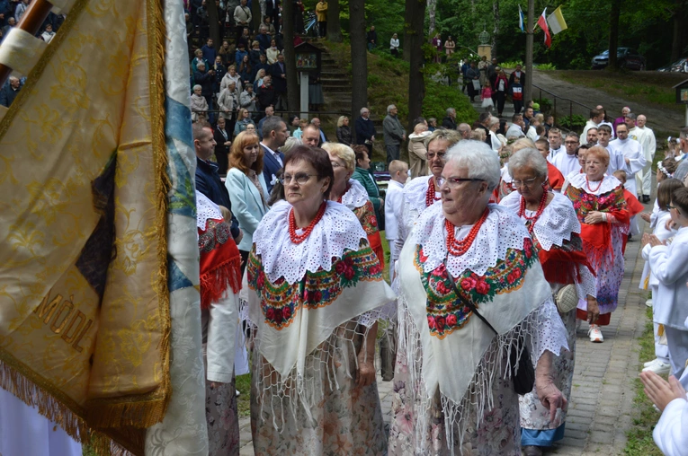 Ziemia rybnicko-wodzisławska w jankowickiej Studzience
