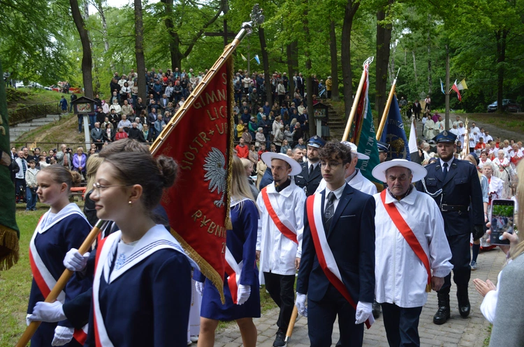 Ziemia rybnicko-wodzisławska w jankowickiej Studzience