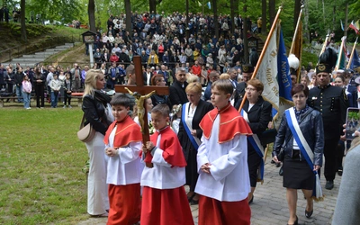 Ziemia rybnicko-wodzisławska w jankowickiej Studzience