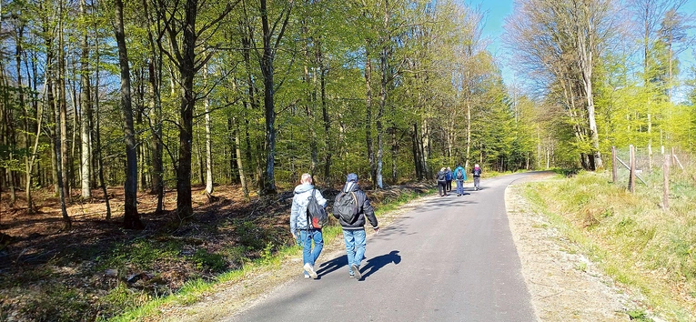 Wędrówkę, choć miejscami niełatwą, umilały pogoda i piękno pomorskiej przyrody.