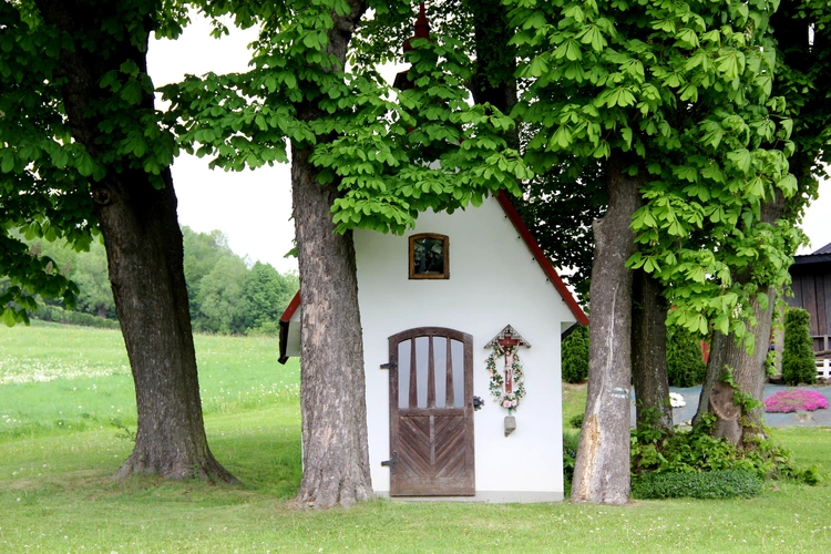 Na górze Tabor w Trzetrzewinie