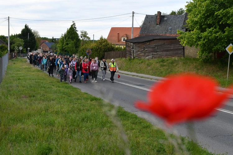 Ruszyła piesza pielgrzymka powołniowa do Rokitna