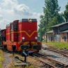 Śląskie. Noc muzeów w różnych miejscach