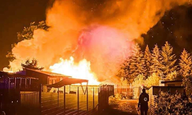 Chełm Śląski. Pożar domków letniskowych