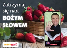 25 maja VI Niedziela Wielkanocna