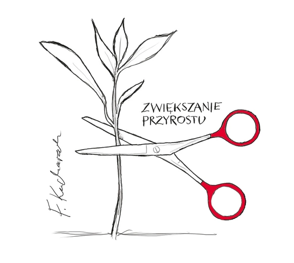 Demografia polityczna