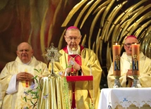 „Relikwie świętego znajdujące się w kościele oraz jego obraz otaczane są szczególną czcią wiernych. Szczególną formą modlitwy w tym miejscu jest też wieczysta adoracja Najświętszego Sakramentu” – napisał biskup płocki w specjalnym dekrecie.