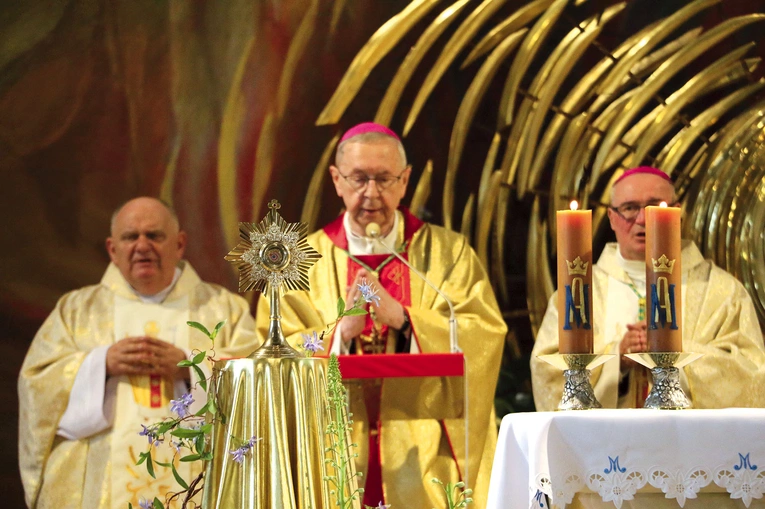 „Relikwie świętego znajdujące się w kościele oraz jego obraz otaczane są szczególną czcią wiernych. Szczególną formą modlitwy w tym miejscu jest też wieczysta adoracja Najświętszego Sakramentu” – napisał biskup płocki w specjalnym dekrecie.
