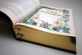 Dzieje Starego Testamentu