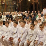 Skrzyszów. Poświęcenie odnowionej kapliczki i reaktywacja ASHNSPJ
