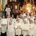 Skrzyszów. Poświęcenie odnowionej kapliczki i reaktywacja ASHNSPJ