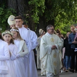 Skrzyszów. Poświęcenie odnowionej kapliczki i reaktywacja ASHNSPJ