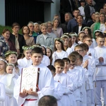 Skrzyszów. Poświęcenie odnowionej kapliczki i reaktywacja ASHNSPJ