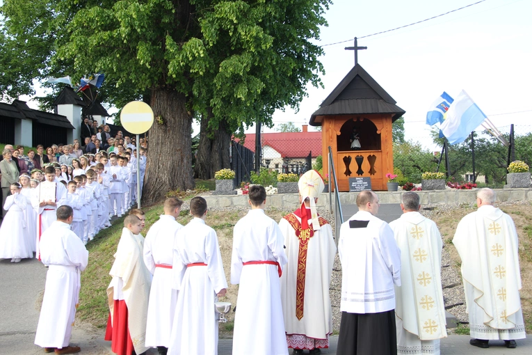 Skrzyszów. Poświęcenie odnowionej kapliczki i reaktywacja ASHNSPJ