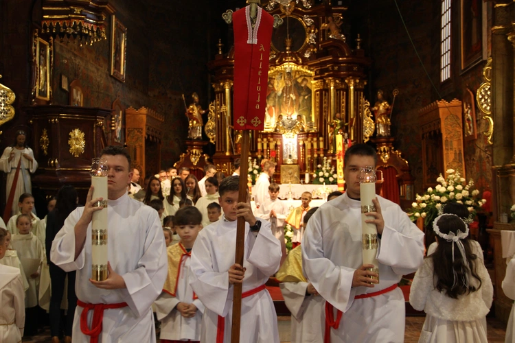 Skrzyszów. Poświęcenie odnowionej kapliczki i reaktywacja ASHNSPJ