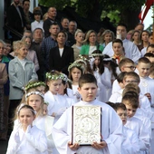 Skrzyszów. Poświęcenie odnowionej kapliczki i reaktywacja ASHNSPJ