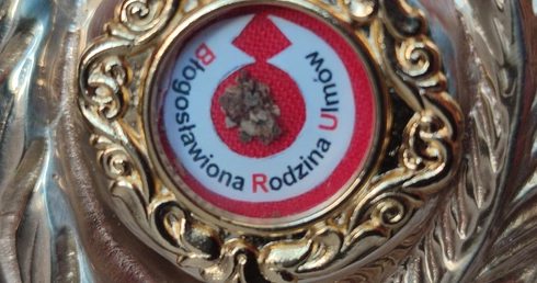 Legnica. Relikwie bł. Rodziny Ulmów