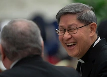 kard. Luis Tagle