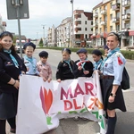 Marsz dla Życia i Rodziny cz.2