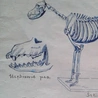 Opowieść koferkowo