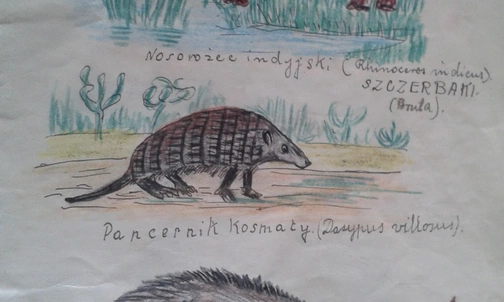 Opowieść koferkowo