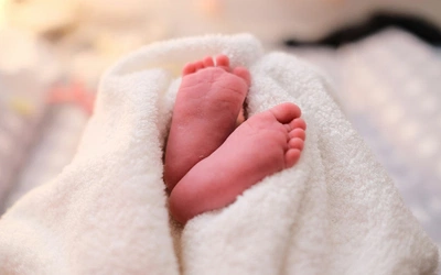 Watykan: nowy prezes Akademii Życia