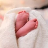 Watykan: nowy prezes Akademii Życia