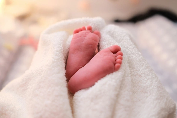 Watykan: nowy prezes Akademii Życia