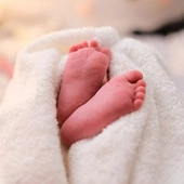 Watykan: nowy prezes Akademii Życia
