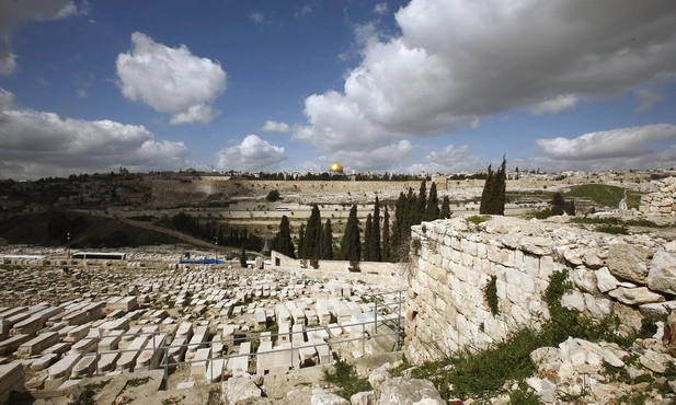 Choroba na człowieka