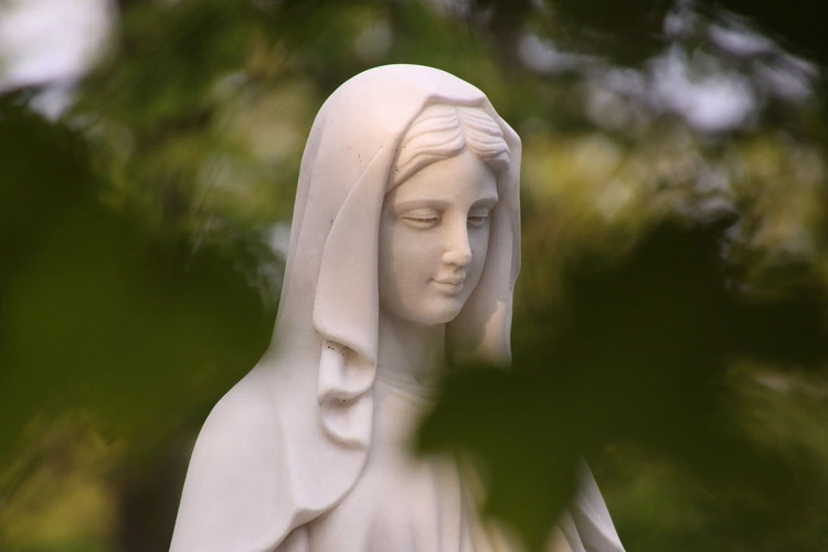 Płock. Wspomnienie s. Heleny Pszczółkowskiej