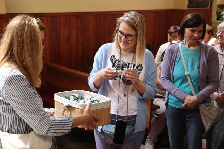 XII Diecezjalna Pielgrzymka Kobiet - wędrówka