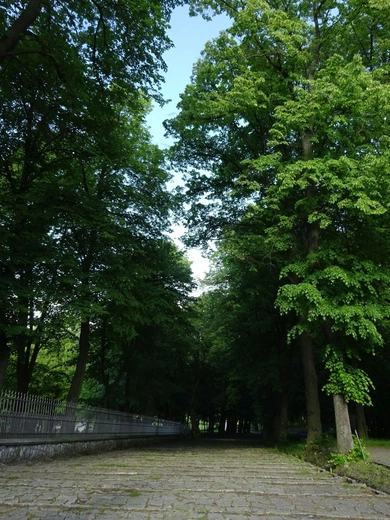 Pielgrzymka osób konsekrowanych