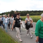 XII Diecezjalna Pielgrzymka Kobiet - wędrówka