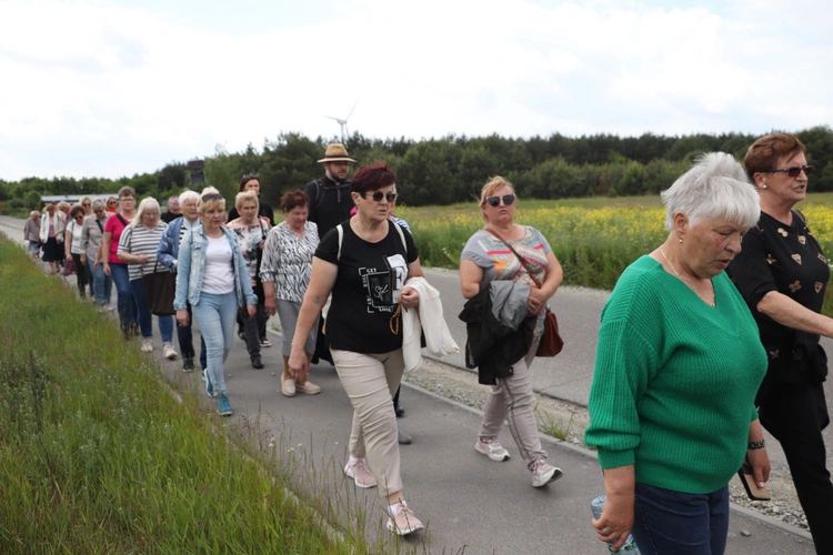XII Diecezjalna Pielgrzymka Kobiet - wędrówka